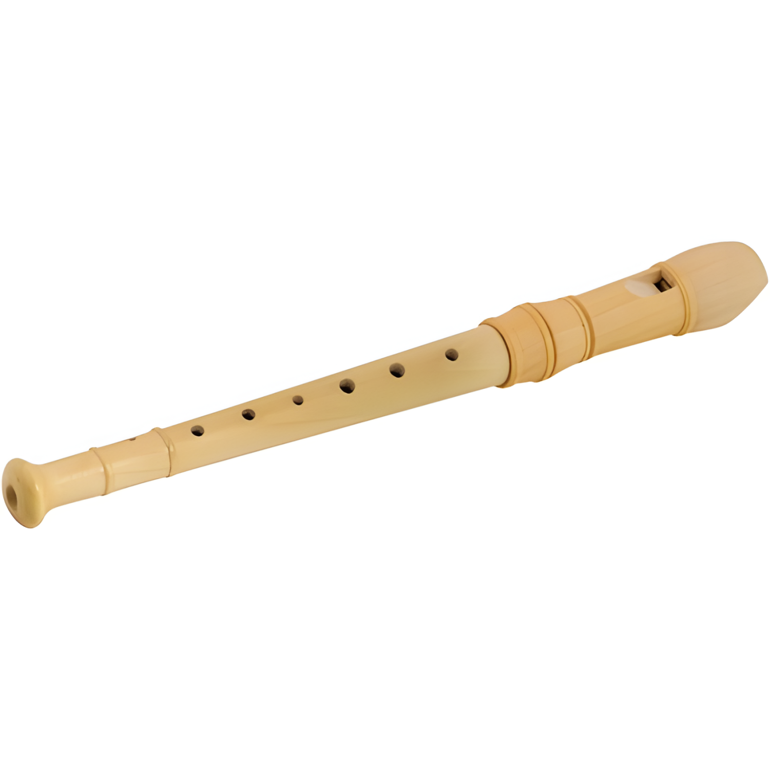 Recorder - Childrens Musical Instrument