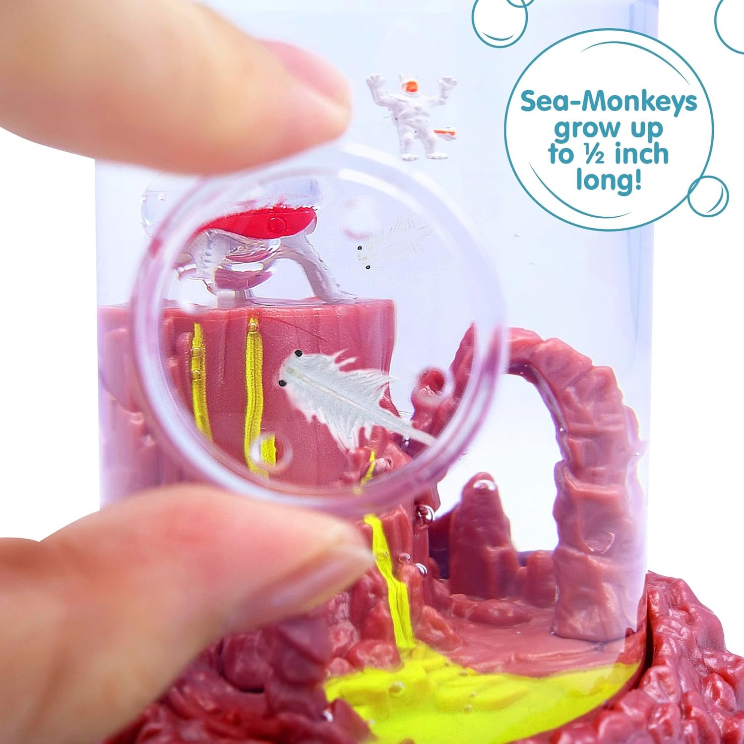 Sea-Monkeys On Mars - World's Only Instant Pets - Ages 6+ (Pack Of 1) - Image 5